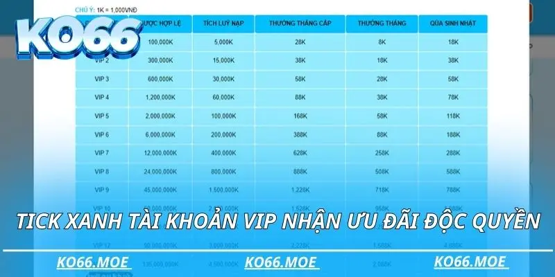 Sở hữu tick xanh tài khoản VIP nhận ưu đãi độc quyền